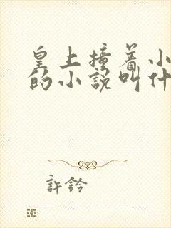 皇上撞着小公主的小说叫什么