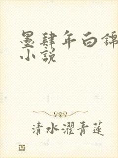 墨肆年白锦瑟 小说