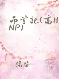 面首记(高H NP)