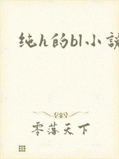 纯h的bl小说