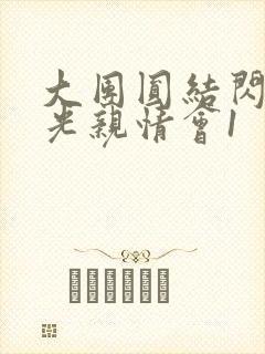 大团圆结闪闪发光亲情会1