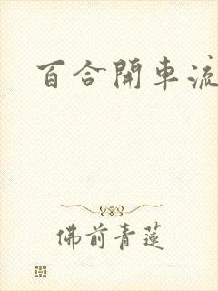 百合开车流污水