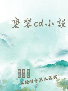 变装cd小说