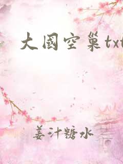 大国空巢txt