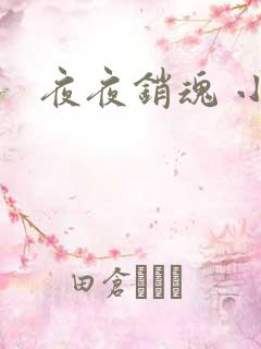 夜夜销魂 小说