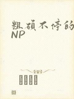 粗硕不停的进出NP