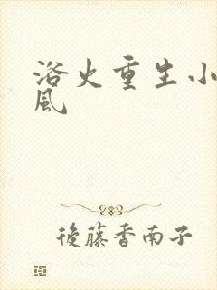 浴火重生小说陈风