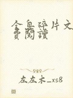 全息碎片文轩免费阅读