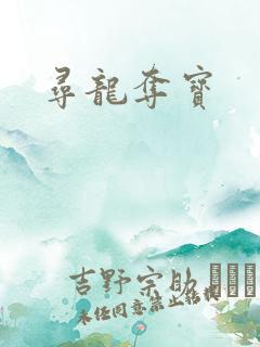 寻龙夺宝
