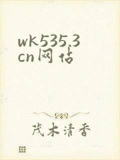 wk535.3cn网站