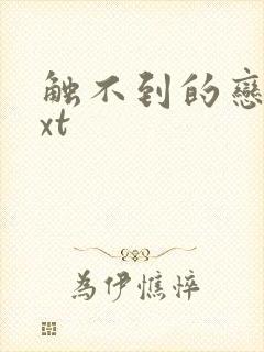 触不到的恋人txt