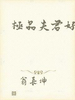 极品夫君好又多