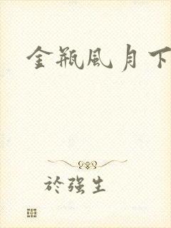 金瓶风月下载