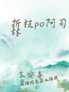 折枝po阿司匹林