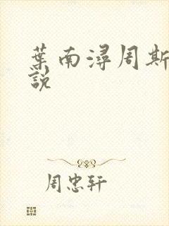 叶南浔周斯年小说