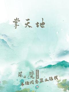 掌天地