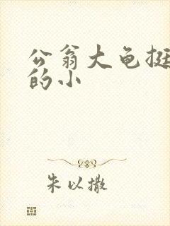 公翁大龟挺进我的小