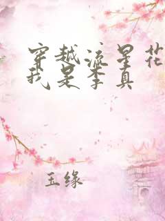 穿越流星花园之我是李真