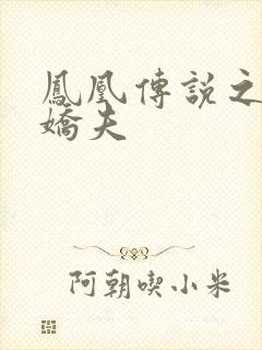 凤凰传说之独宠娇夫