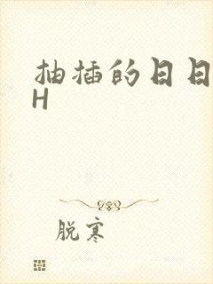 抽插的日日液液H