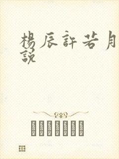 杨辰许若月的小说