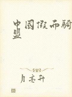 中国假面骑士联盟