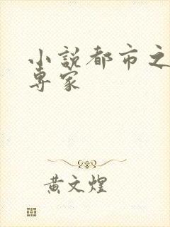 小说都市之军火专家