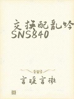 交换配乱吟粗大SNS840