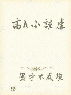 高h小说虐