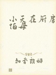 小天在厨房插杨伯母