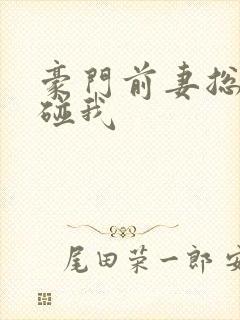 豪门前妻总裁别碰我