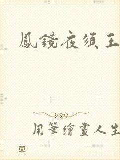 凤镜夜须王环
