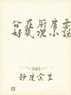 公在厨房要了我好几次小说