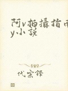 阿v拍摄指南by小说