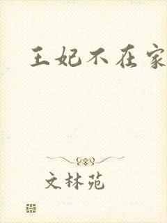 王妃不在家
