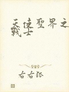 天使圣界之神之战士