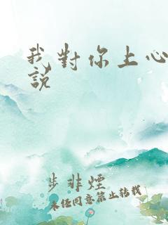 我对你上心了小说
