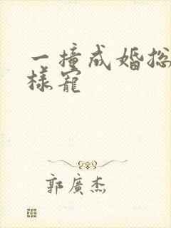 一撞成婚总裁花样宠