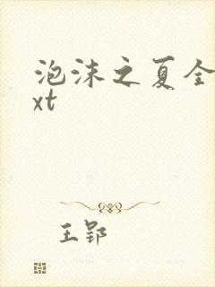 泡沫之夏全集txt