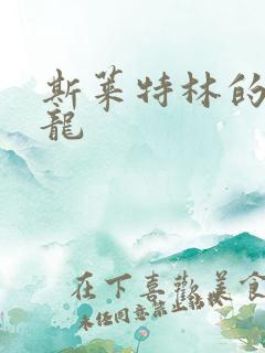 斯莱特林的铂金龙