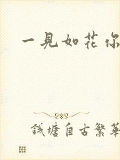 一见如花你就笑