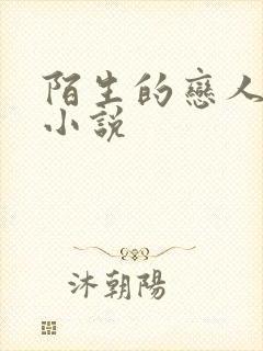 陌生的恋人原著小说