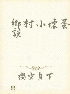 乡村小坏蛋 小说