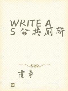 WRITE AS 公共厕所