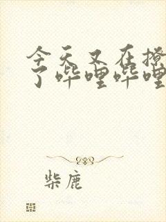 今天又在撩后妈了哔哩哔哩小说