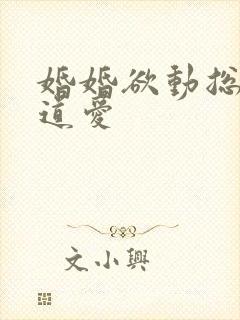 婚婚欲动总裁霸道爱