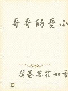 哥哥的爱小说