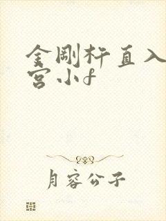 金刚杵直入莲花宫小f