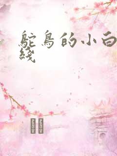 鸵鸟的小白脸路线