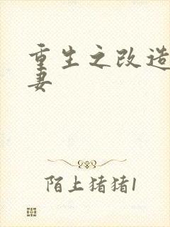 重生之改造糟糠妻